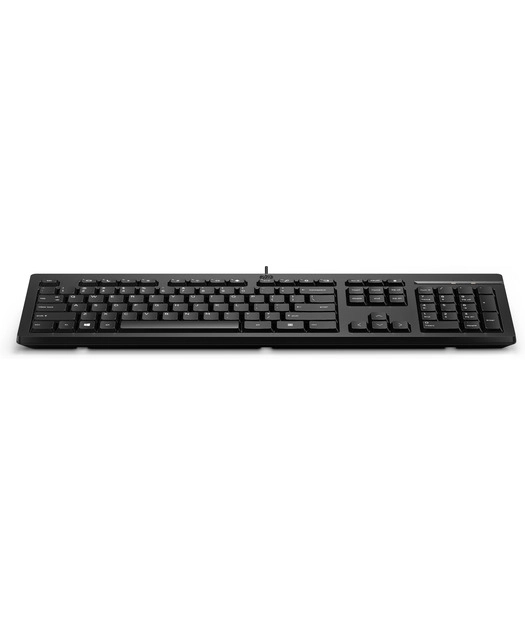 HP%20266C9AA%20125%20Kablolu%20Klavye%20Siyah