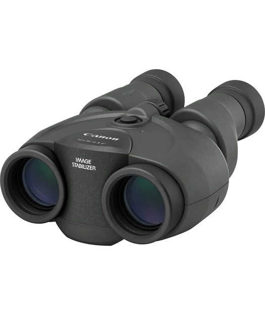 CANON%20BINOCULARS%2010X30%20IS%20II