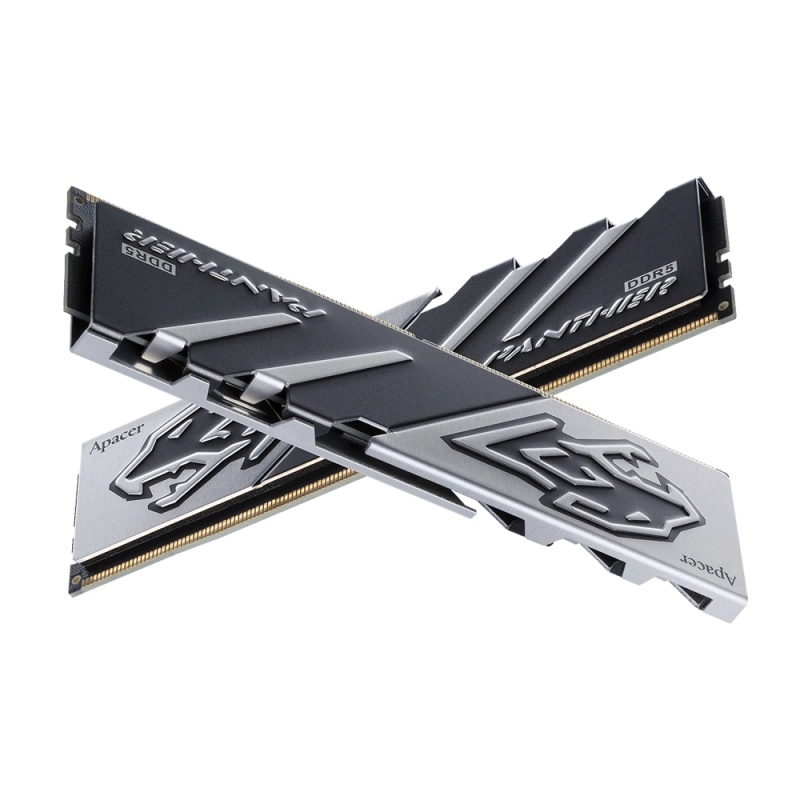 Apacer%20Panther%2016GB%201x16GB%206000MHz%20CL38%20DDR5%20Gaming%20Ram%20(AH5U16G60C6227BAA-1)