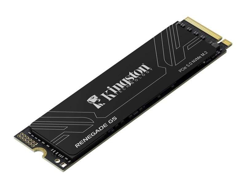 1TB%20KINGSTON%20RENEGADE%20SRNG2S/1T0%2014200/11000/MBs%20PCIe%205.0%20NVMe%20SSD
