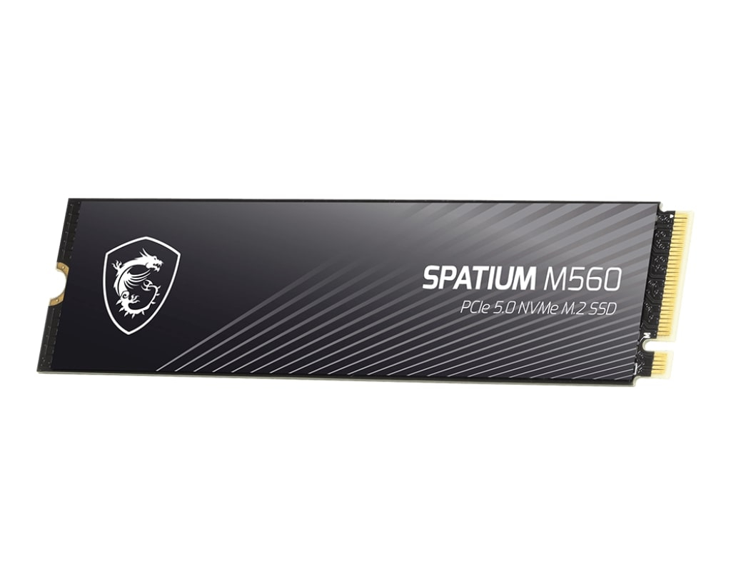 2TB%20MSI%20SPATIUM%20M560%20PCIE%205.0%20NVME%20M2%2010300/8700MB/s