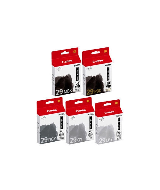 Canon%20PGI-29%20MBK/PBK/DGY/GY/LGY%20MultiPack%204868B018