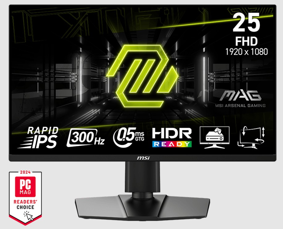 24.5%20MSI%20MAG%20255PXF%200.5MS%20300HZ%20GTG%20FHD%20FLAT%20IPS