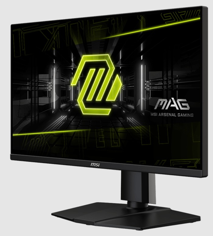 24.5%20MSI%20MAG%20255PXF%200.5MS%20300HZ%20GTG%20FHD%20FLAT%20IPS