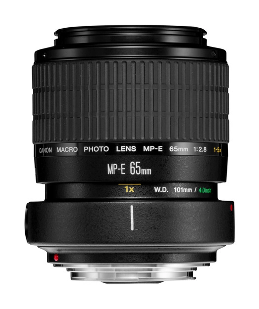 Canon%20MP-E%2065mm%20f2.8%201-5x%20Makro%20Lens