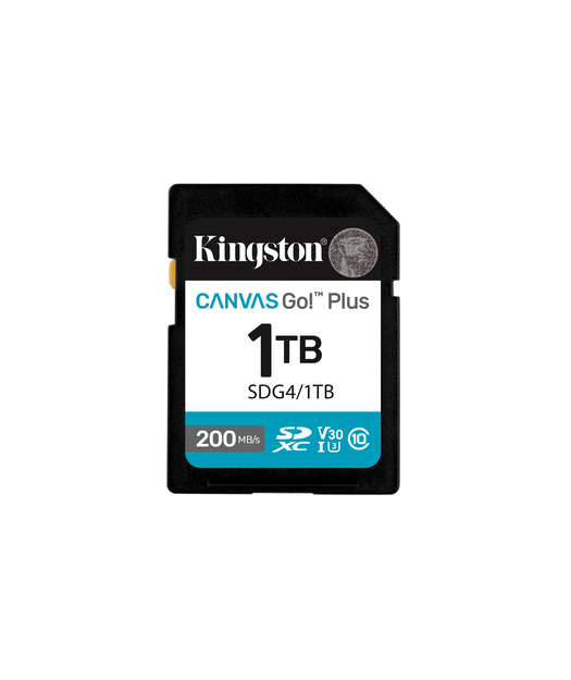 Kingston%201TB%20Canvas%20Go%20Plus%20SD%20Gen4