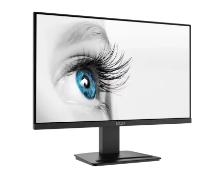 23.8 MSI PRO MP2412 FHD 1MS 100HZ FLAT VA