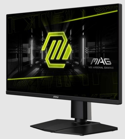 24.5 MSI MAG 255PXF 0.5MS 300HZ GTG FHD FLAT IPS