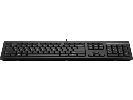 HP 125 KABLOLU KLAVYE SİYAH 266C9AA