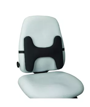 Kensington Lumbar Sırt Desteği