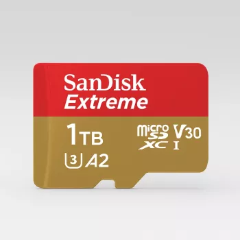 SanDisk Extreme 1TB microSDXC UHS-I Hafıza Kartı (SDSQXAV-1T00-GN6MN)