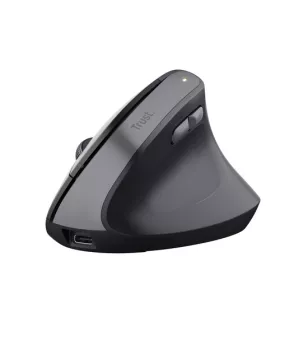 Trust TM-270 Ergonomik Kablosuz Mouse - Siyah